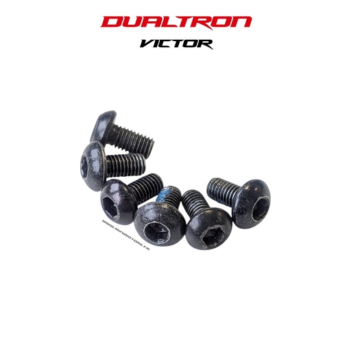 [DLT01877] DUALTRON VICTOR | VIS DISQUE DE FREIN (X6)