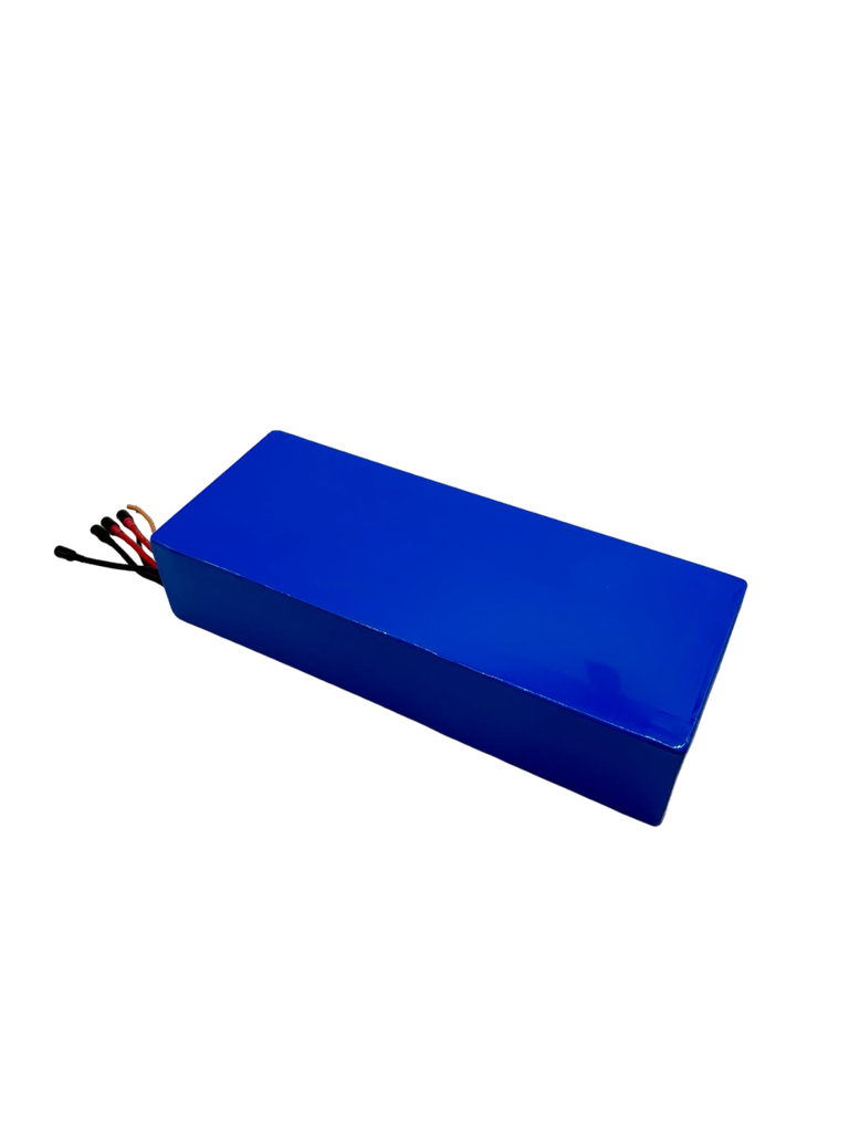 DUALTRON VICTOR & LUXURY & SPIDER 2 & FOREVER  LTD | 60V24AH BATTERY