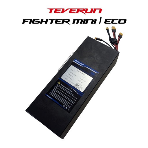 [TVR00525] TEVERUN FIGHTER MINI 2024 & ECO 2025 | BATTERY 52V 20AH