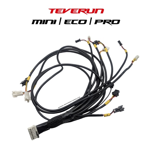 [TVR00570] TEVERUN FIGHTER MINI & ECO & PRO   | CONVERTISSEUR LED V2 2024